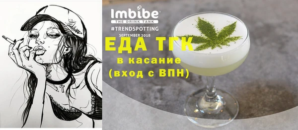 СК Новозыбков