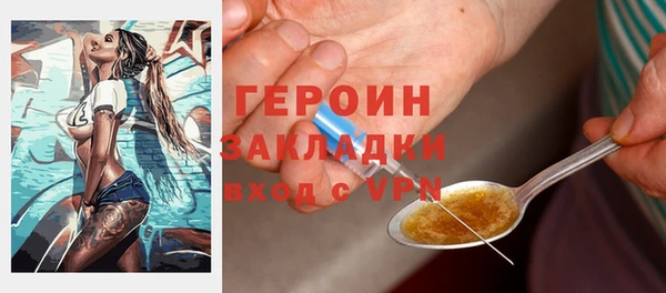 шишки Новодвинск