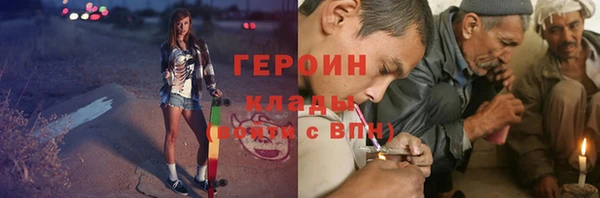 шишки Новодвинск