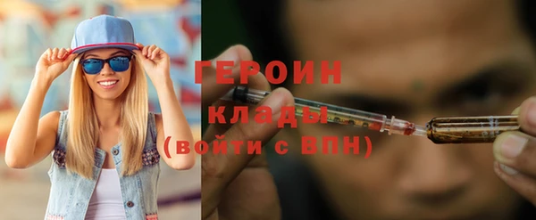 шишки Новодвинск