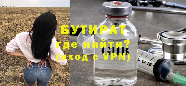 шишки Новодвинск