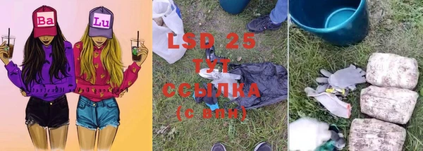 сатива Нея