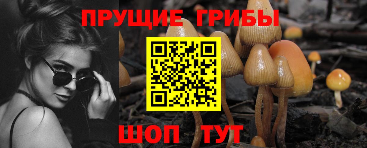 Псилоцибиновые грибы GOLDEN TEACHER  Галлюциногенные грибы MAGIC MUSHROOMS  где найти наркотики  Вход с VPN  Стрежевой 